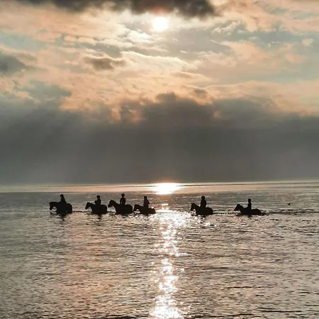 Am Reiterhof Am Reitstall